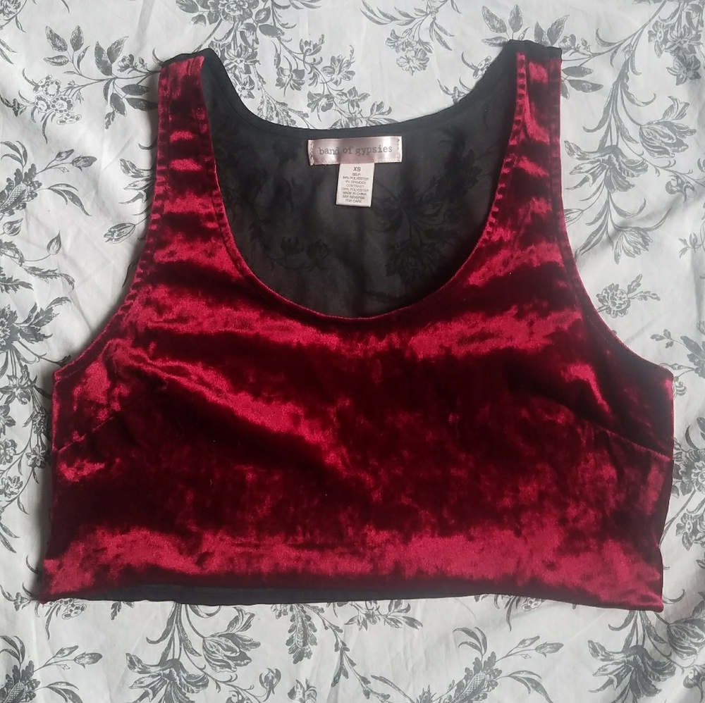 Band of Gypsies Red Velvet Crop Top